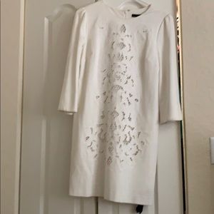 Cynthia Steffe dress